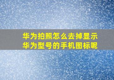 华为拍照怎么去掉显示华为型号的手机图标呢