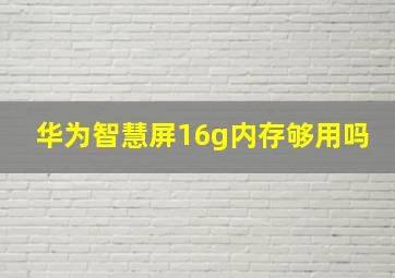 华为智慧屏16g内存够用吗