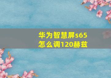 华为智慧屏s65怎么调120赫兹