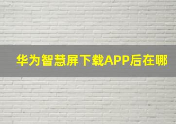 华为智慧屏下载APP后在哪