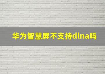 华为智慧屏不支持dlna吗