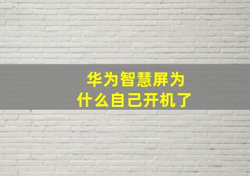 华为智慧屏为什么自己开机了