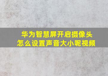 华为智慧屏开启摄像头怎么设置声音大小呢视频