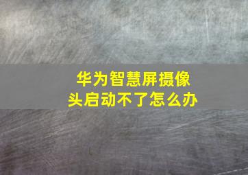 华为智慧屏摄像头启动不了怎么办