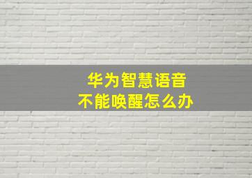 华为智慧语音不能唤醒怎么办