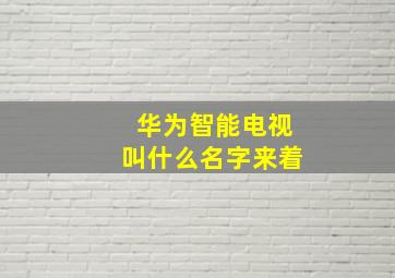 华为智能电视叫什么名字来着