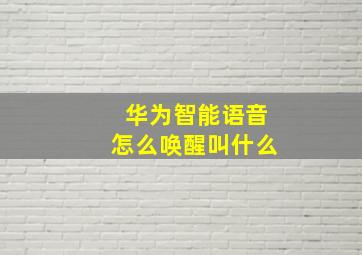 华为智能语音怎么唤醒叫什么