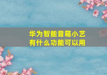 华为智能音箱小艺有什么功能可以用