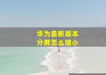 华为最新版本分屏怎么缩小