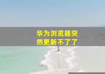 华为浏览器突然更新不了了