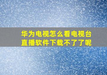 华为电视怎么看电视台直播软件下载不了了呢