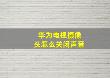 华为电视摄像头怎么关闭声音