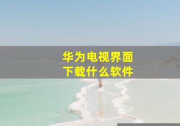 华为电视界面下载什么软件