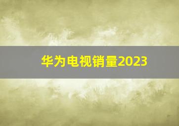 华为电视销量2023