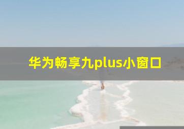 华为畅享九plus小窗口