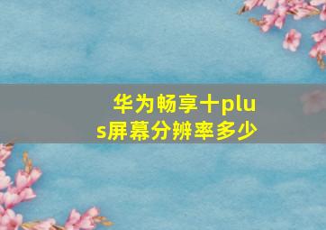 华为畅享十plus屏幕分辨率多少