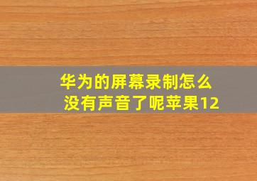 华为的屏幕录制怎么没有声音了呢苹果12