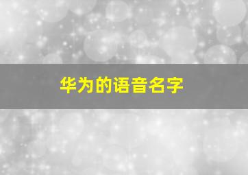 华为的语音名字