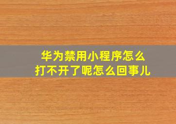 华为禁用小程序怎么打不开了呢怎么回事儿