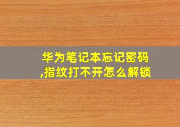 华为笔记本忘记密码,指纹打不开怎么解锁