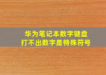 华为笔记本数字键盘打不出数字是特殊符号