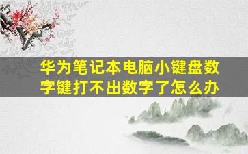 华为笔记本电脑小键盘数字键打不出数字了怎么办