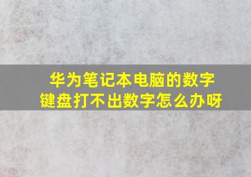 华为笔记本电脑的数字键盘打不出数字怎么办呀