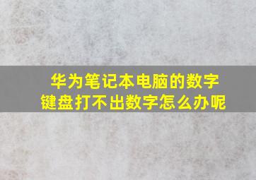 华为笔记本电脑的数字键盘打不出数字怎么办呢