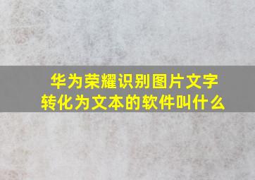 华为荣耀识别图片文字转化为文本的软件叫什么