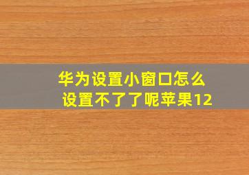 华为设置小窗口怎么设置不了了呢苹果12