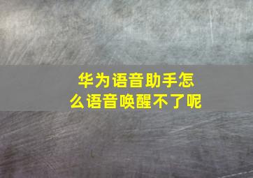 华为语音助手怎么语音唤醒不了呢