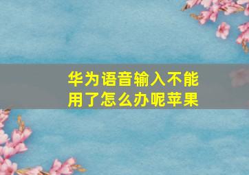 华为语音输入不能用了怎么办呢苹果