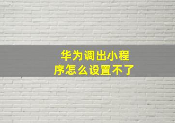 华为调出小程序怎么设置不了