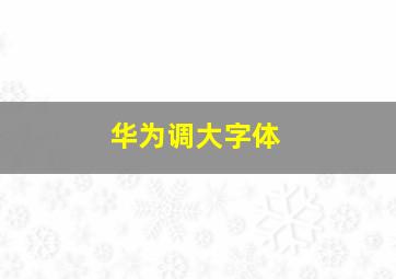 华为调大字体