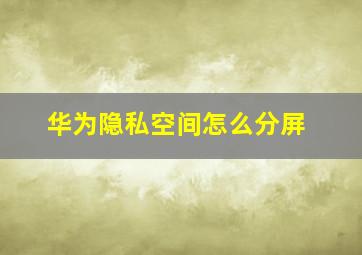 华为隐私空间怎么分屏