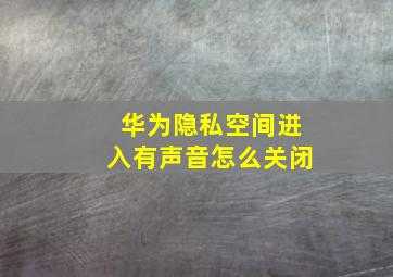 华为隐私空间进入有声音怎么关闭