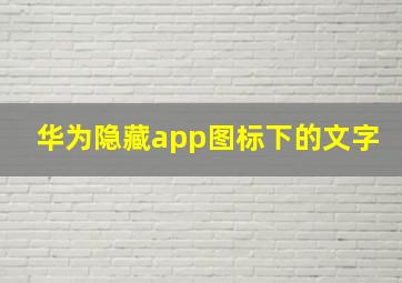 华为隐藏app图标下的文字