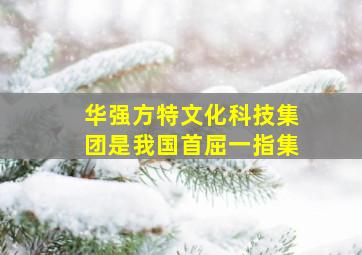 华强方特文化科技集团是我国首屈一指集