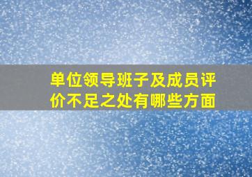 单位领导班子及成员评价不足之处有哪些方面