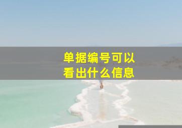 单据编号可以看出什么信息