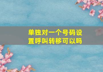 单独对一个号码设置呼叫转移可以吗