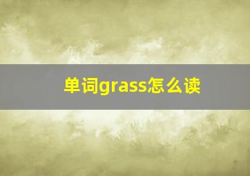 单词grass怎么读