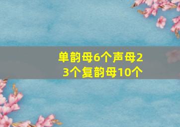 单韵母6个声母23个复韵母10个