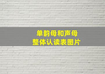 单韵母和声母整体认读表图片