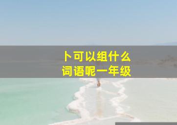 卜可以组什么词语呢一年级