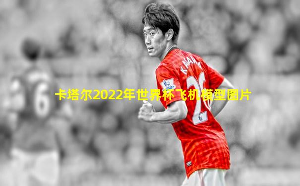 卡塔尔2022年世界杯飞机模型图片