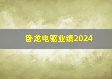 卧龙电驱业绩2024