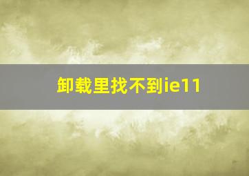 卸载里找不到ie11