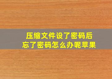 压缩文件设了密码后忘了密码怎么办呢苹果