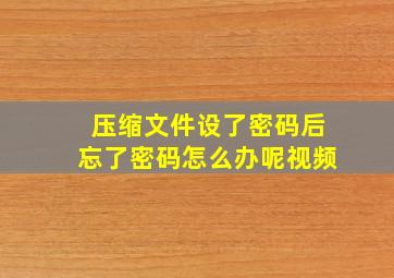 压缩文件设了密码后忘了密码怎么办呢视频